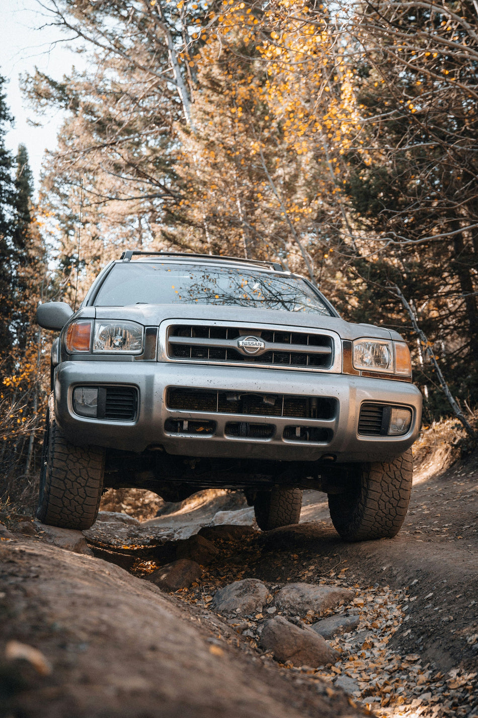 Terrano/Pathfinder
